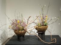 03 - Mieko Watanabe.jpg 6.4K